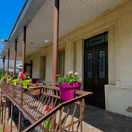 Guesthouse Kostava 72 Kazbegi Eksteriør billede